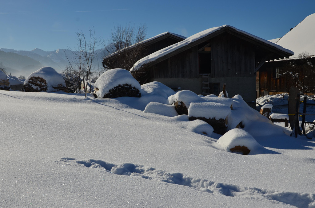 Winter 060219_46.JPG