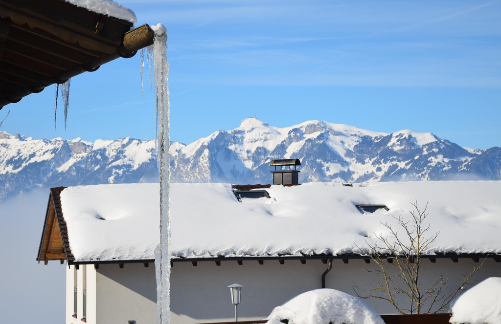 Winter 060219_48.JPG
