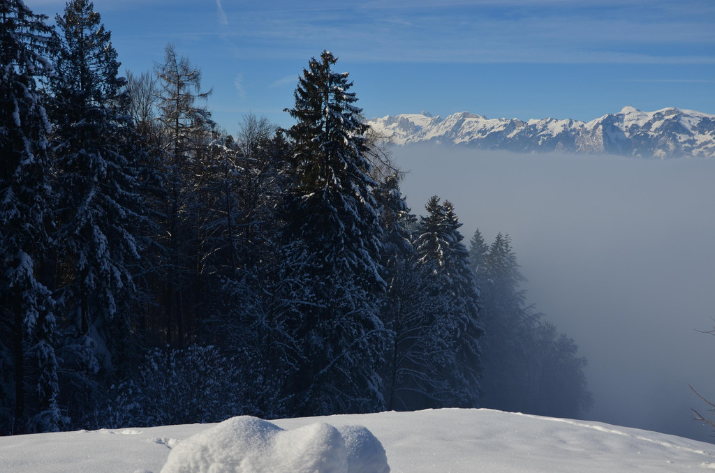 Winter 060219_51.JPG