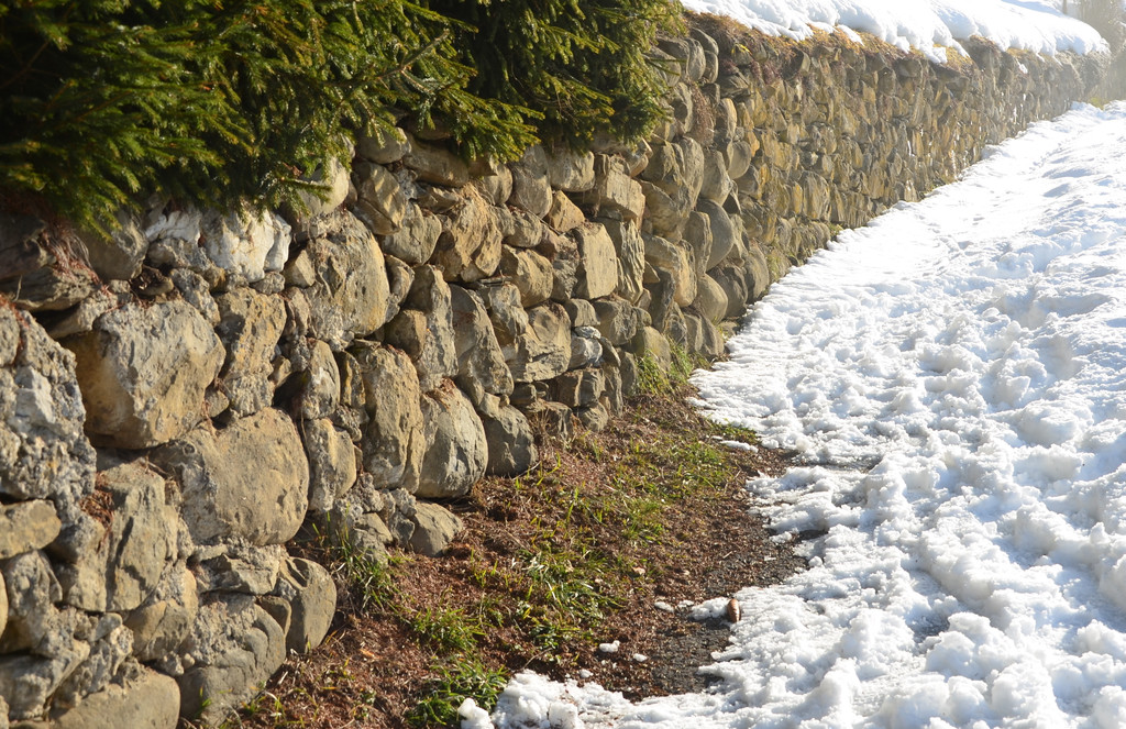 Winter 060219_52.JPG