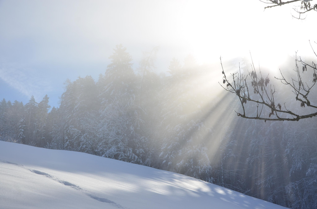 Winter 060219_53.JPG