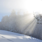 Winter 060219_53.JPG