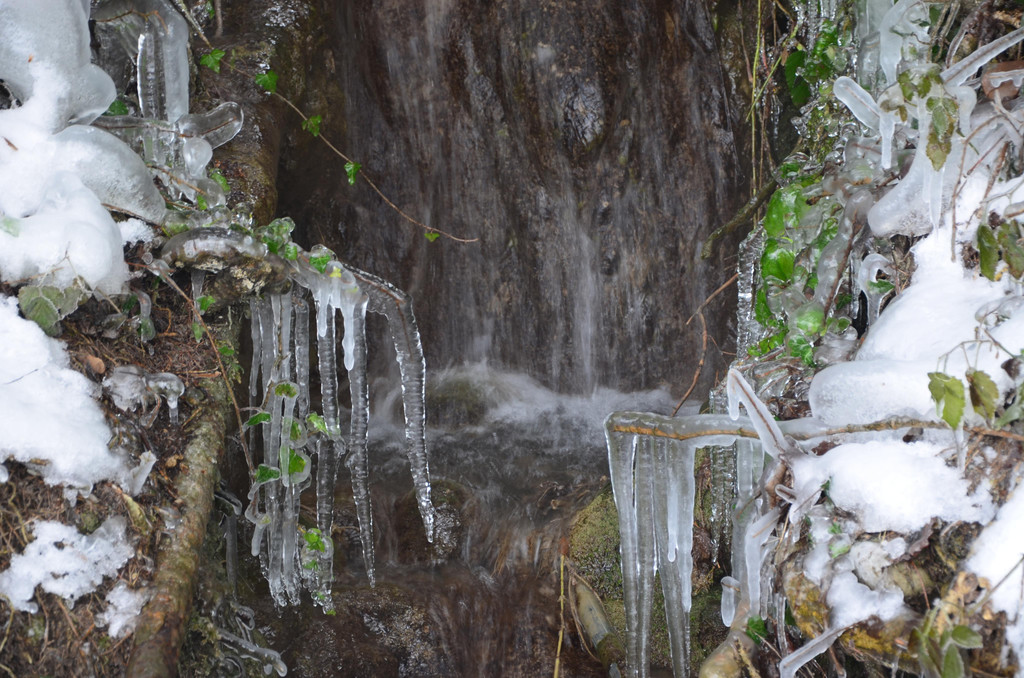 Winter 060219_54.JPG