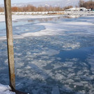 Einsatz im Fußacher Hafen