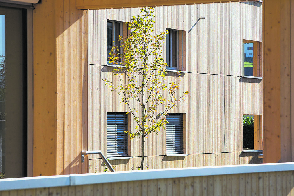 181012WA_Bergstr_CRwalser_043.jpg