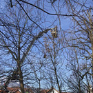 Mühlebachweg Meiningen