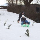 IMG_8241.jpg