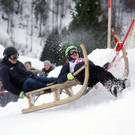 Au horner 3.jpg