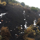 Schnee auf Hawaii