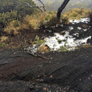 Hawaii_Storms_05633.jpg