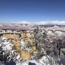 Cold_Southwest_83822.jpg