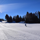 DSC_0215.JPG