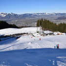 DSC_0222.JPG