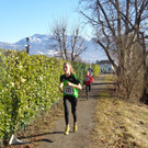 Lustenouer Crosslaufserie