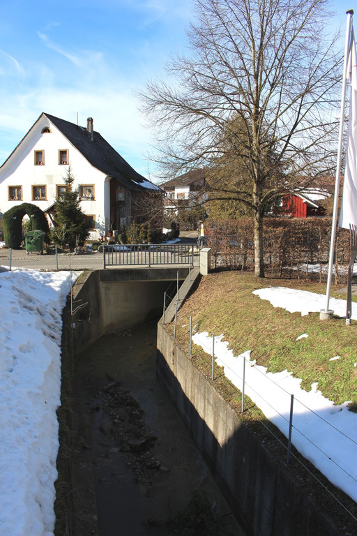 Hoferbach VERBAUUNG Restst__ck 13-02-2019 _15_.JPG