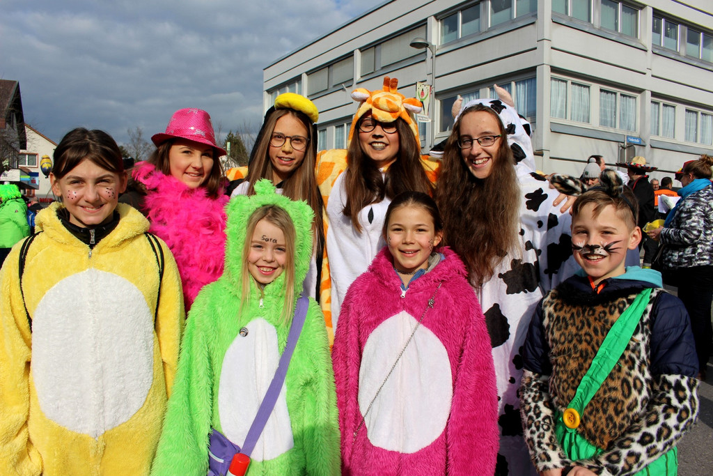 Fasching UMZUG LOCHAU Impressionen Symbolfotos 2018 _6_.JPG