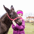 Ostermarkt 2018 __ SKB_Astrid Knie _3_.jpg