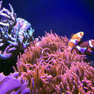 ABD0106-20190220.jpg