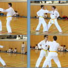 Training bei Mustang