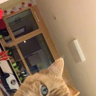chica4.jpg