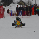 Rodelrennen Alma 2019 _379_.jpg