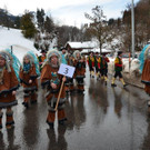 Faschingsumzug Dalaas 2019 _12_.jpg