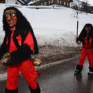 Faschingsumzug Dalaas 2019 _36_.jpg