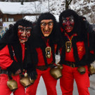 Faschingsumzug Dalaas 2019 _38_.jpg