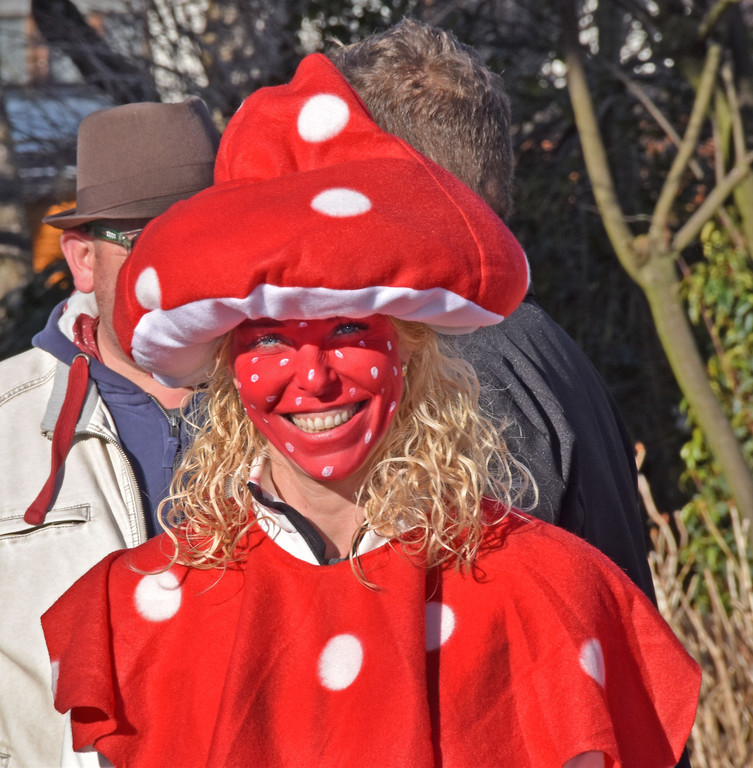 Fasnat Hard 2019 Fliegenpilz 204.jpg
