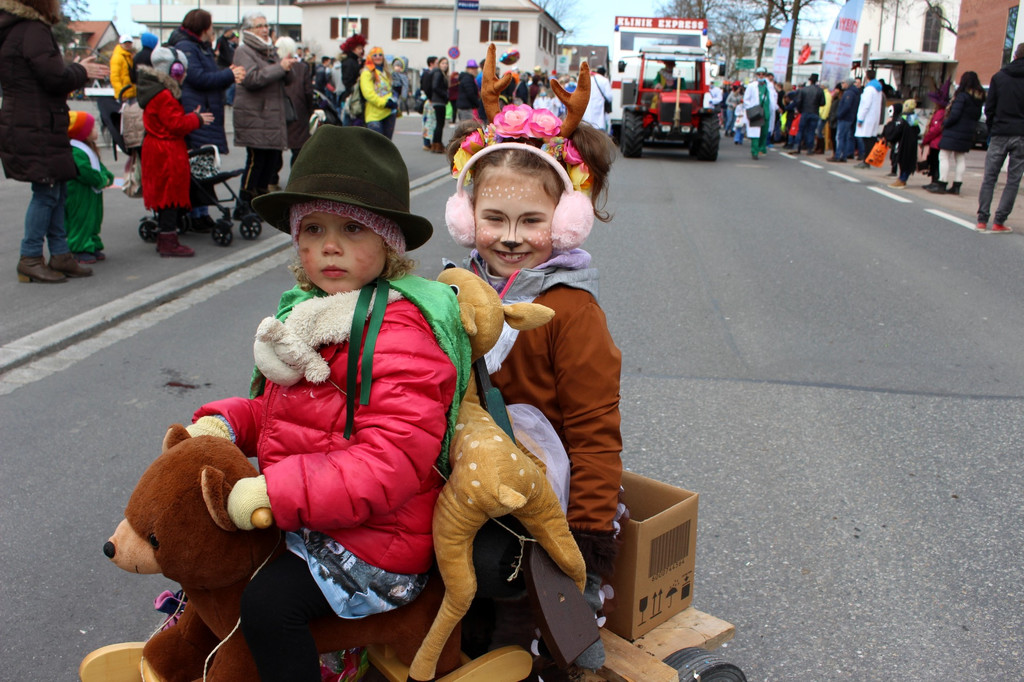 Faschinmg UMZUG H Teilnehmer 24-02-2019 _71_.JPG