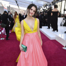 91st_Academy_Awards_-_Red_Carpet_87125.jpg