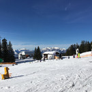 IMG_2773.JPG