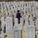 AFP_1DY5L6.jpg