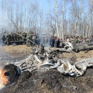 AFP_1DY62E.jpg