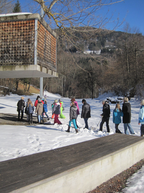 IMG_8908.JPG