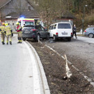 VU-PKW-Baum_Auto01-verpixel.jpg