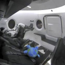 SpaceX_Crew_Capsule_62678.jpg