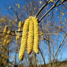 DSCN8824.JPG