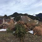 Funkenplatz Hoher Bühel vor dem Funkenaufbau