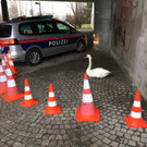 image5.jpeg