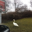 image9.jpeg