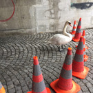 image11.jpeg