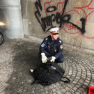 image12.jpeg