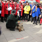IMG_3833_JPG-1551707239.jpg