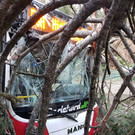 Wien-Hietzing: Linienbus kollidiert mit Baum 