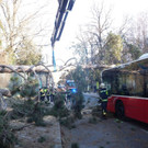 05032019_MA_68_Lichtbildstelle_4.jpg
