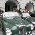 1513491.jpg