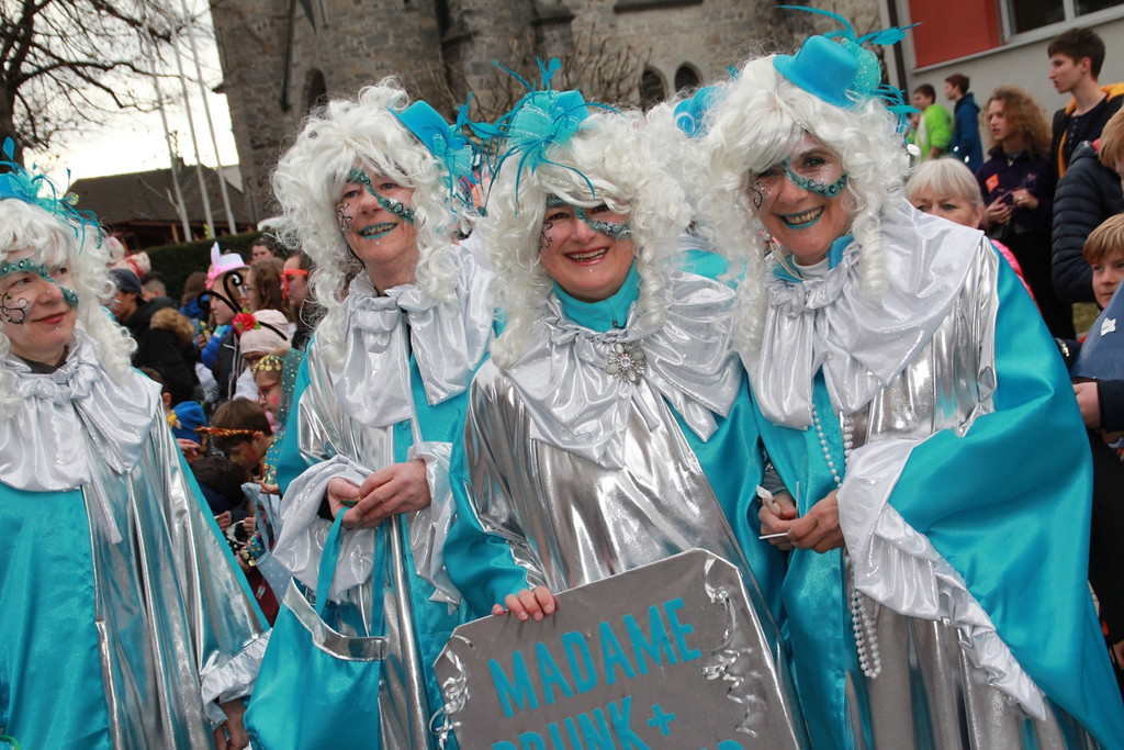 Faschingsumzug Schwarzach 3.jpg