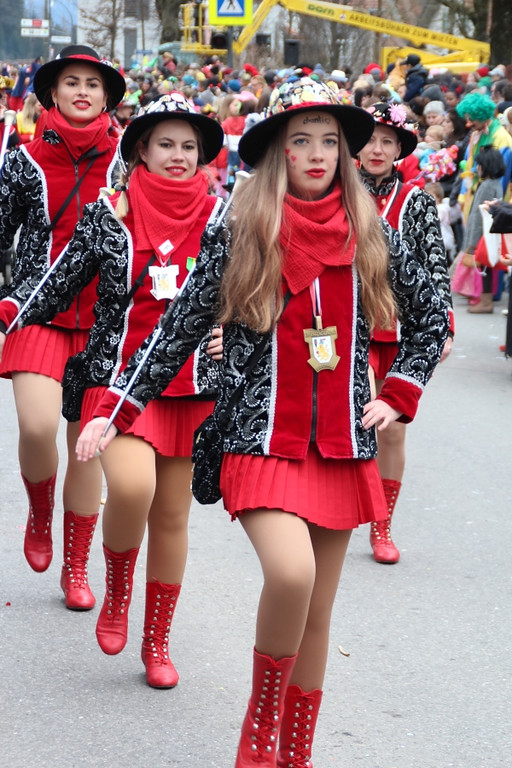 Faschingsumzug Schwarzach 12.jpg