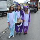 33 Faschingsumzug.jpg